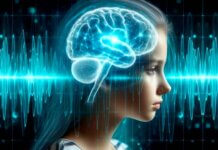 Los misterios de la actividad eléctrica del cerebro humano